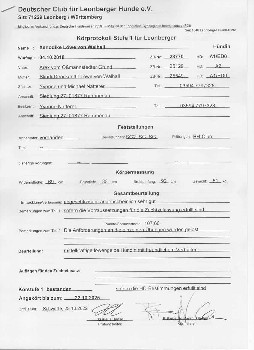 Körung1